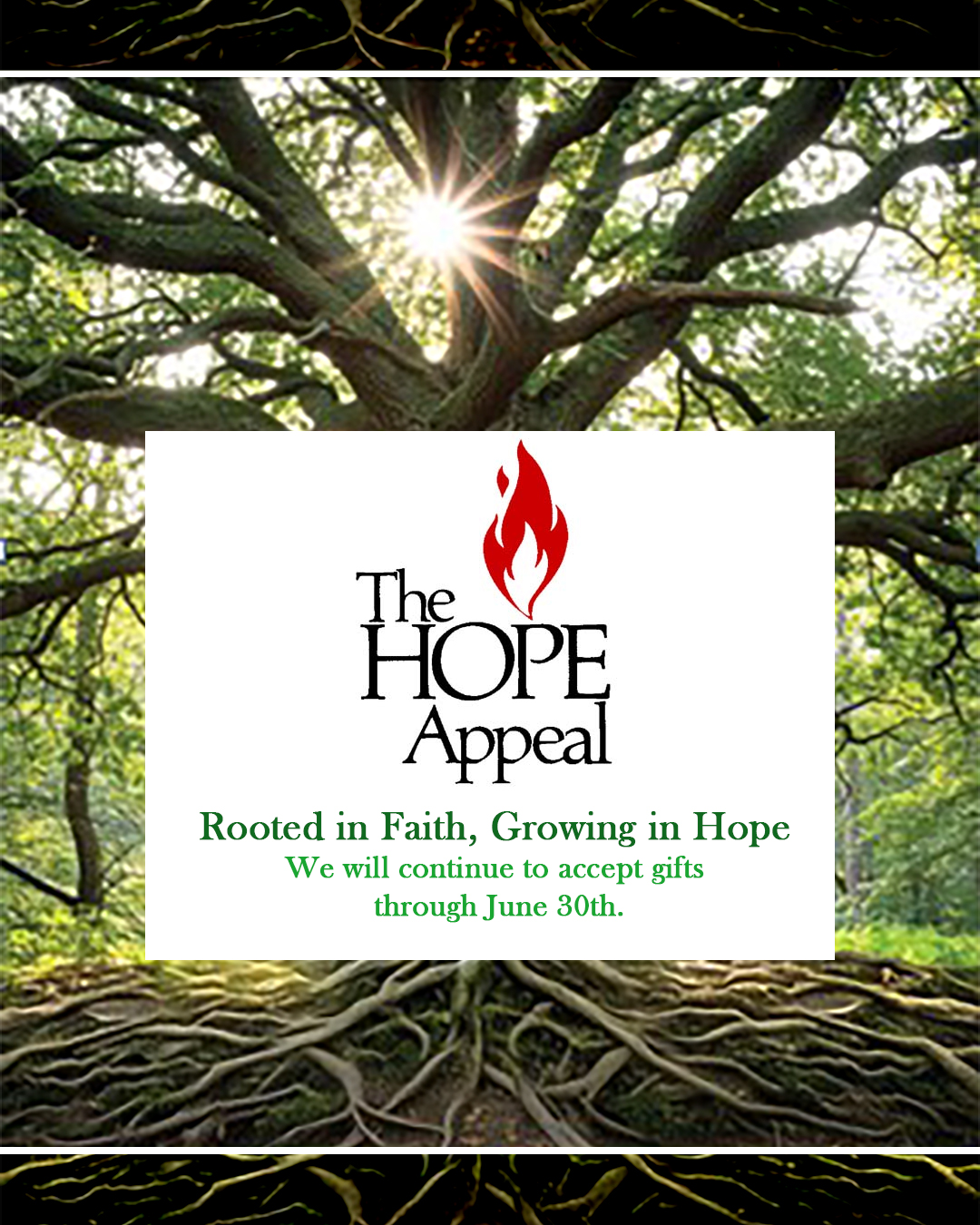 Hope Appeal 2025 Update                                                                                                                                                                                                                                                                                     
